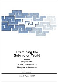 Examining the Submicron World (Paperback)