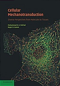 Cellular Mechanotransduction : Diverse Perspectives from Molecules to Tissues (Paperback)