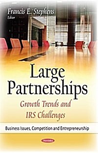 Large Partnerships (Paperback)