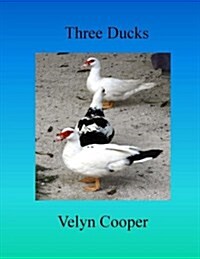 Three Ducks (Paperback)