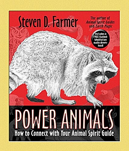 Power Animals: How to Connect with Your Animal Spirit Guide (Paperback)