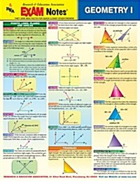 Geometry I Exam Notes (Paperback, LAM)