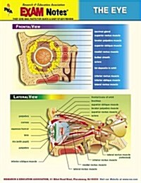 Eye Anatomy Exam Notes (Paperback)