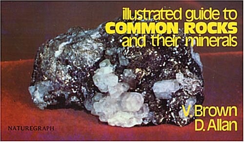 Guide to Common Rocks & Their Minerals (Paperback, REV)