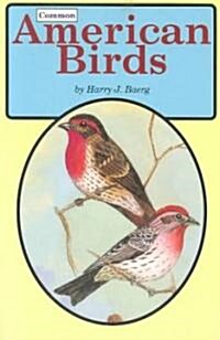 Common American Birds (Paperback)