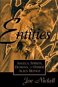 Entities (Paperback)