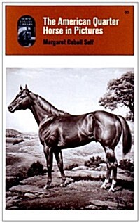 American Quarter Horse in Pictures (Paperback)