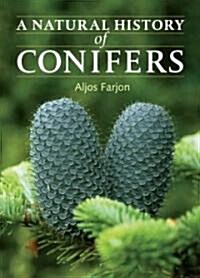 A Natural History of Conifers (Hardcover)