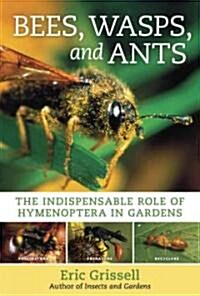 Bees, Wasps, and Ants: The Indispensable Role of Hymenoptera in Gardens (Hardcover)