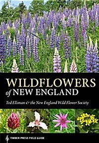 Wildflowers of New England (Paperback)