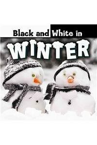 Black and White in Winter (Paperback)