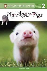 Pig-piggy-pigs (Hardcover)