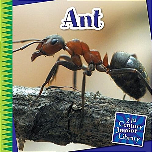 Ant (Paperback)