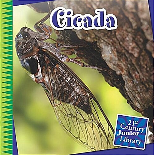 Cicada (Paperback)