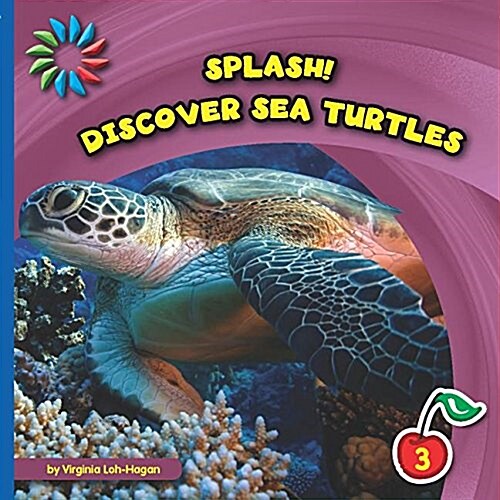 Discover Sea Turtles (Library Binding)