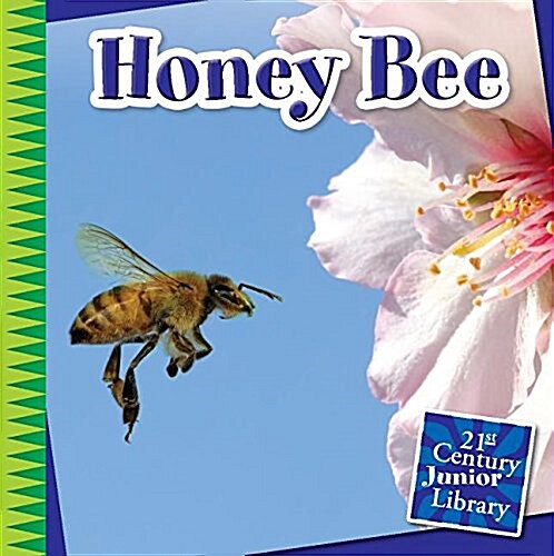 Honey Bee (Paperback)