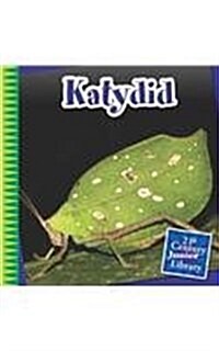 Katydid (Paperback)