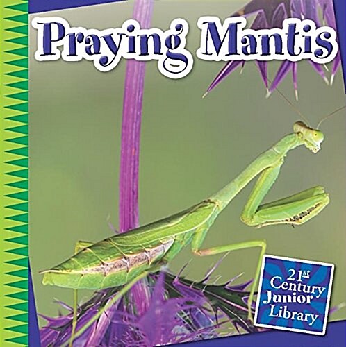 Praying Mantis (Paperback)