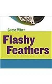 Flashy Feathers: Macaw (Paperback)