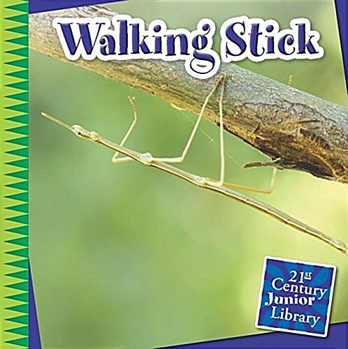 Walking Stick (Paperback)