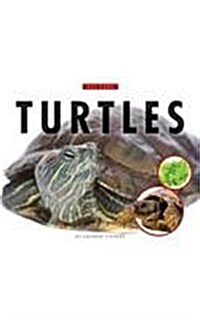 Turtles (Library Binding)