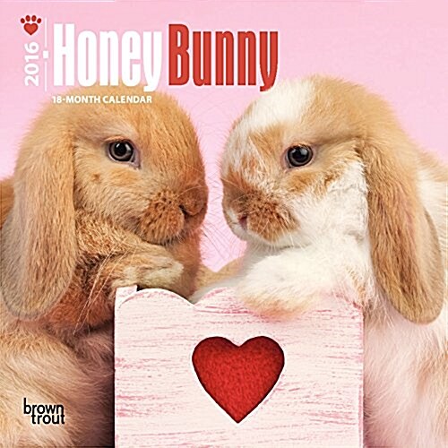 Honey Bunny 2016 Calendar (Calendar, Mini)