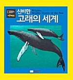 [중고] 신비한 고래의 세계