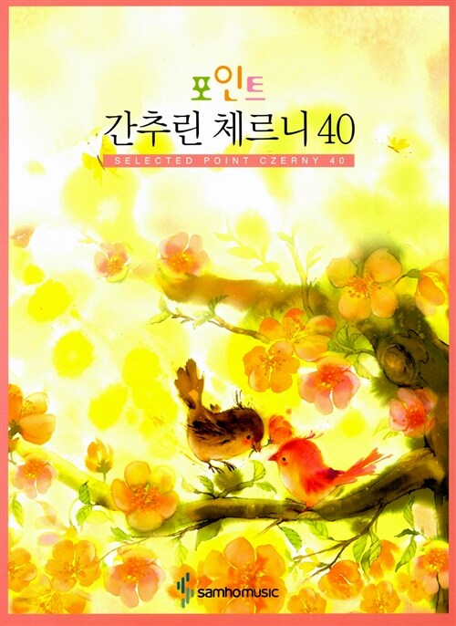 포인트 간추린 체르니 40