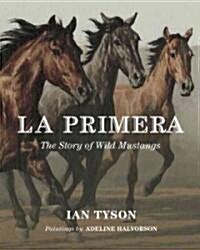 La Primera: The Story Of Wild Mustangs (Hardcover)