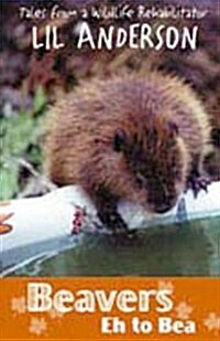 Beavers Eh to Bea: Tales from a Wildlife Rehabilitator (Paperback)
