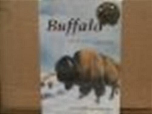 Buffalo (Paperback)