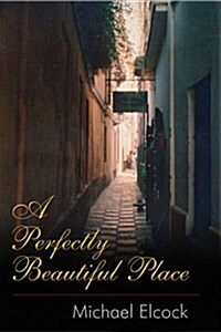 A Perfectly Beautiful Place (Paperback, 1st)