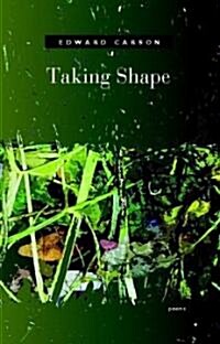 Taking Shape (Paperback)