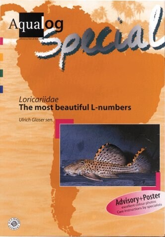 Aqualog Special - Loricaridae The Most Beautiful L-numbers (Paperback)