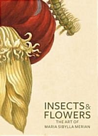 Insects and Flowers: The Art of Maria Sibylla Merian (Paperback)