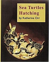 Sea Turtles Hatching (Paperback)