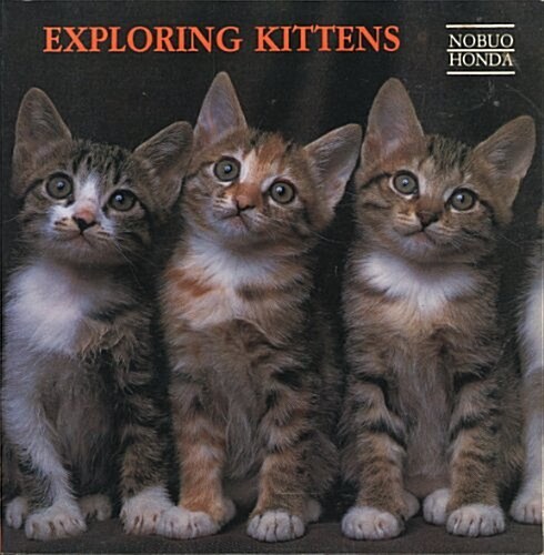 Exploring Kittens (Paperback)