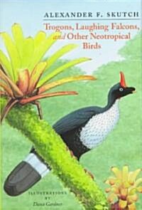 Trogons, Laughing Falcons, and Other Neotropical Birds (Hardcover)