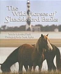 Wild Horses of Shackleford Banks (Paperback)