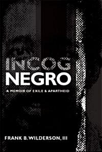 Incognegro (Paperback)