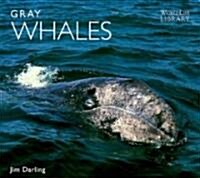 Gray Whales (Paperback)