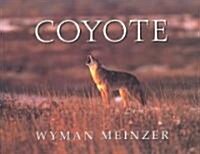 Coyote (Paperback)