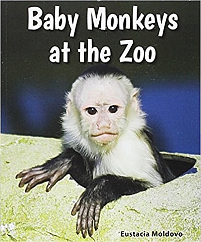 Baby Monkeys at the Zoo (Library Binding)