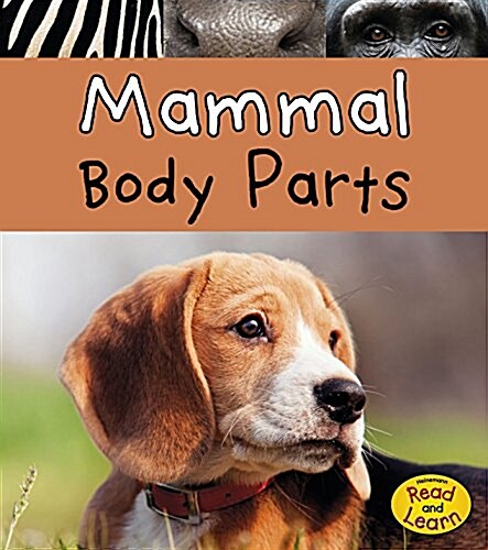 Mammal Body Parts (Paperback)