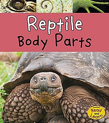 Reptile Body Parts (Paperback)