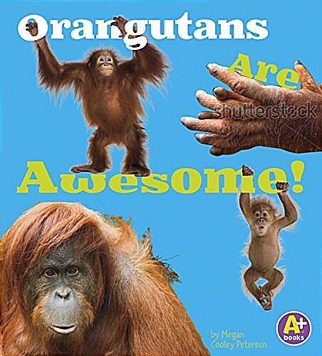 Orangutans Are Awesome! (Paperback)