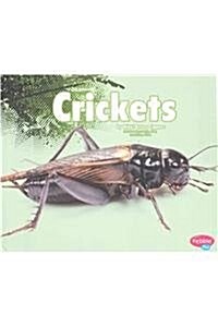Crickets (Hardcover)