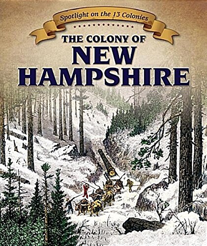 The Colony of New Hampshire (Library Binding)