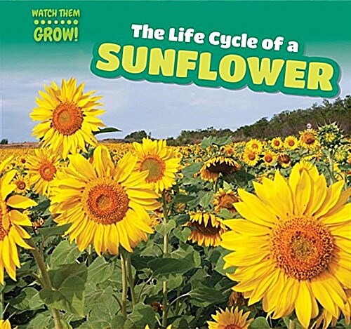 The Life Cycle of a Sunflower (Paperback)