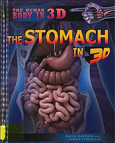 The Stomach in 3D (Library Binding)